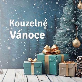 Jsme rádi, že jste letos slavily své výjimečné okamžiky s námi. Přejeme vám ze srdce kouzelné Vánoce 🎄. Užijte si čas...
